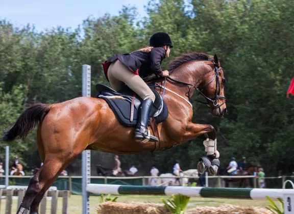 Letsel bij sport en spel - paardrijden